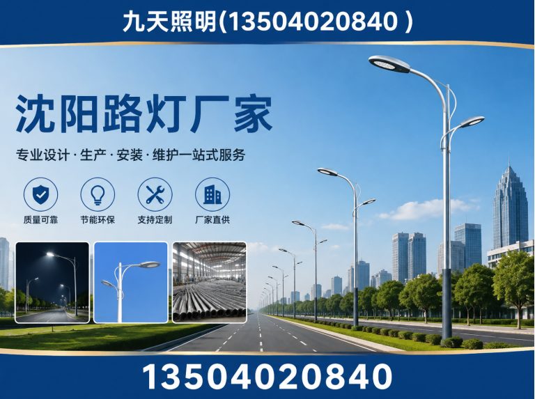 苏家屯区九天照明展示图